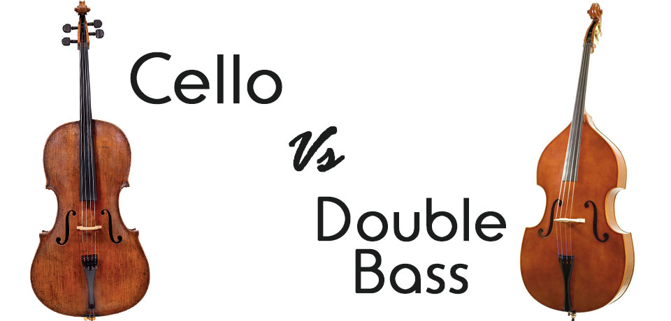 the-cello-vs-the-double-bass-all-shore-orchestra