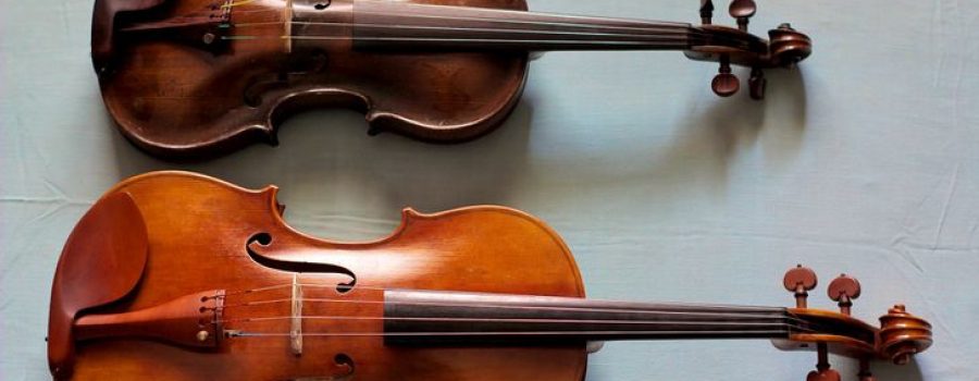 The Violin vs. the Viola