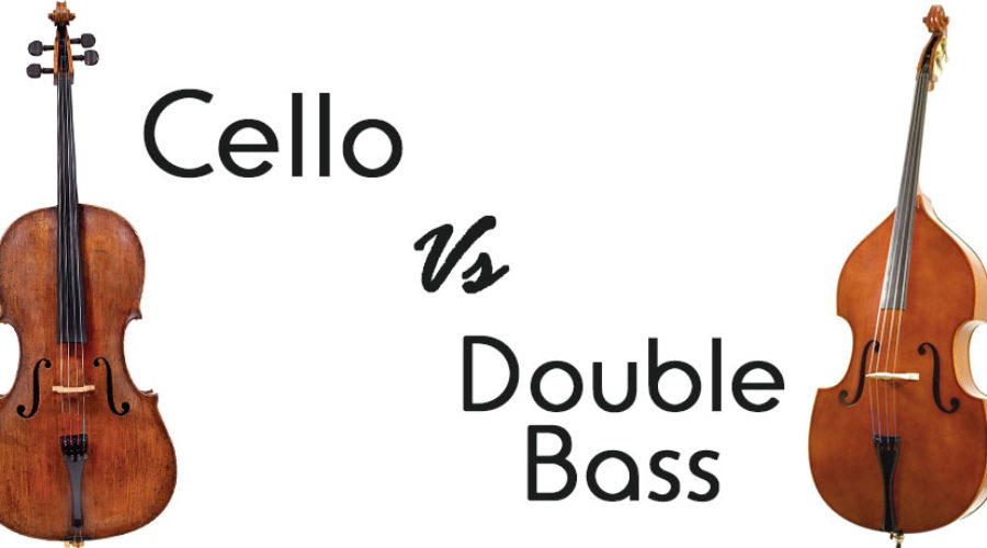 The Cello vs. the Double Bass