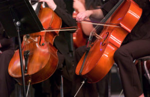 Cello in a concert